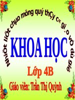 BÀI GIẢNG Phòng bệnh béo phì