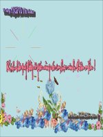 BÀI GIẢNG CÂY PHÁT SINH GIỚI ĐỘNG VẬT