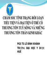 Chăm Sóc Tình Trạng Rối Loạn Tiểu Tiện Và Đại Tiện Ở Trẻ Có Thương Tổn Tuỷ Sống Và Những Thương Tổn Thần Kinh Khác