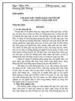 Sáng kiến kinh nghiệm dành cho quản lý