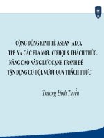 Cộng đồng kinh tế asean (aec),   tpp  và các fta mới.  Cơ hội & thách thức. Nâng cao năng lực cạnh tranh để tận dụng cơ hội, vượt qua thách thức