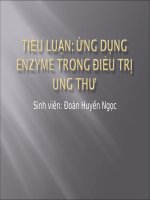 Tiểu luận: ứng dụng enzyme trong điều trị ung thư