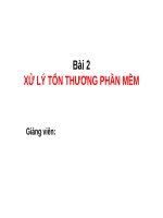 BÀI GIẢNG XỬ LÝ TỔN THƯƠNG PHẦN MỀM