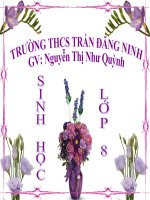 bài giảng THÀNH PHẦN CỦA MÁU