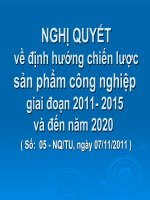 NGHỊ QUYẾT về định hướng chiến lược sản phẩm công nghiệp giai đoạn 2011- 2015 và đến năm 2020