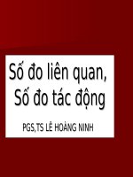 Số đo liên quan, Số đo tác động PGS,TS LÊ HOÀNG NINH