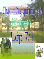 Quan Hệ Giữa Các Yếu Tố Trong Tam Giác Các Đường Đồng Quy Trong Tam Giác