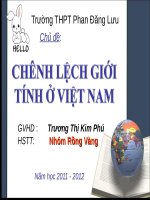 BÀI GIẢNG CHÊNH LỆCH GIỚI TÍNH Ở VIỆT NAM
