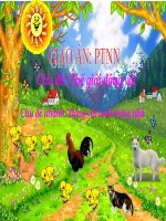 Bài giảng lớp Lá chủ đề Thế giới động vật