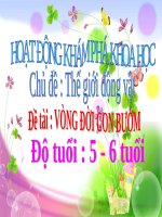 Bài giảng lớp Lá chủ đề Thế giới động vật