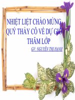 Bài Giảng NƯỚC ĐẠI VIỆT Ở THẾ KỈ XIII