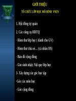 GIỚI THIỆU  TỔ CHỨC LỚP HỌC MÔ HÌNH  VNEN