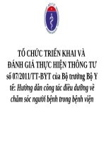 Tổ Chức Triển Khai Và Đánh Giá Thực Hiện Thông Tư Số 07/2011/Tt-Byt Của Bộ Trưởng Bộ Y Tế: Hướng Dẫn Công Tác Điều Dưỡng Về Chăm Sóc Người Bệnh Trong Bệnh Viện