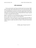 BÁO cáo THỰC tập CHUYÊN môn công ty TNHH Thái An Đà Nẵng