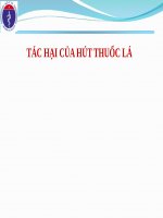 BÀI GIẢNG TÁC HẠI CỦA HÚT THUỐC LÁ