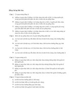 Bằng chứng tiến hóa 