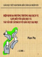 Hiệp Định Đa Phương Thương Mại Dịch Vụ Gats Đối Với Giáo Dục Và Vài Vấn Đề Cấp Bách Về Giáo Dục Đại Học