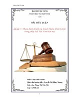 Vi Phạm Hành Chính và Trách Nhiệm Hành Chính trong pháp luật Việt Nam hiện nay                                                                                                                                                                                 