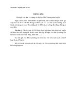 Bộ phận chuyên môn THCS 