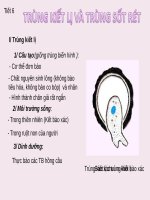 BÀI GIẢNG TRÙNG KiẾT LỊ VÀ TRÙNG SỐT RÉT