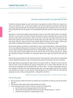 Marketing quốc tế  Case study MKT QT PVC