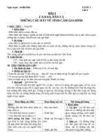 giáo án ngữ văn 7 tuần 3 