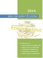 KINH TẾ LƯỢNG  bang so lieu 15 và 39 ban final 