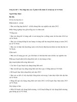 Thu thập báo cáo về phát triển kinh tế xã hội tại xã võ ninh 