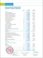 Báo cáo tài chính hợp nhất  Ngân hàng Thương mại Cổ phầnACB 06 y consolidated balance sheet 