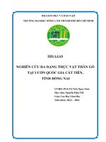 nghiên cứu đa dạng thực vật thân gỗ tại vườn quốc gia cát tiên, tỉnh đồng nai