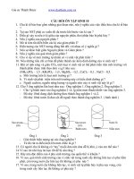 Câu hỏi ôn tập sinh 10 học kì 2