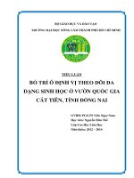 bố trí ô định vị theo dõi đa dạng sinh học ở vườn quốc gia cát tiên, tỉnh đồng nai