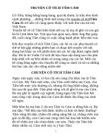 TRUYỆN cổ TÍCH tấm cám 