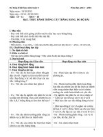 Hình học 6 tiết 9,10 