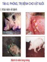 BÀI GIẢNG PHÒNG, TRỊ BỆNH CHO VẬT NUÔI