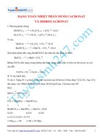 Dang toan nhiet phan muoi cacbonat va hidrocacbonat - hoá 9