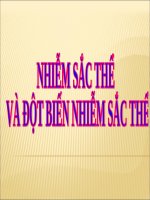 BÀI GIẢNG NHIỄM SẮC THỂ  VÀ ĐỘT BIẾN NHIỄM SẮC THỂ