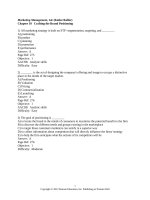 Marketing quốc tế  10  brand decision 