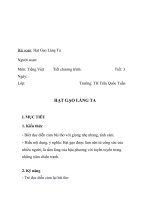 giáo án hạt gạo làng ta1