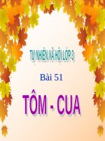 Bài Giảng Tôm – Cua (Tự Nhiên Xã Hội Lớp 3)