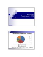 Polyolefin Polypropylene (PP)