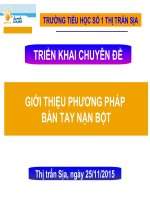 Triển Khai Chuyên Đề Giới Thiệu Phương Pháp Bàn Tay Nặn Bột