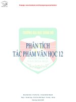 PHÂN TÍCH tác PHẨM văn học