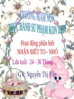 BÀI GIẢNG Hoạt động phân biệt NHẬN BIẾT TO - NHỎ