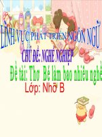 Bài giảng lớp Chồi chủ đề: Nghề nghiệp