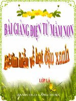 Bài giảng điện tử mầm non đề tài Bé tìm hiểu về hạt đậu xanh (lớp Lá)