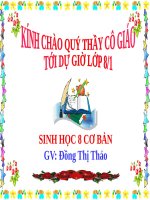 BÀI GIẢNG TIM VÀ MẠCH MÁU