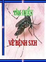 TÌM HIỂU VỀ BỆNH SỐT XUẤT HUYẾT