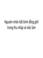 Nguyên nhân bất bình đẳng giới trong thu nhap va viec lam