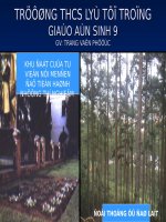 Bài giảng thao giảng sinh học 9 lai 1 cặp tính trạng (6) 